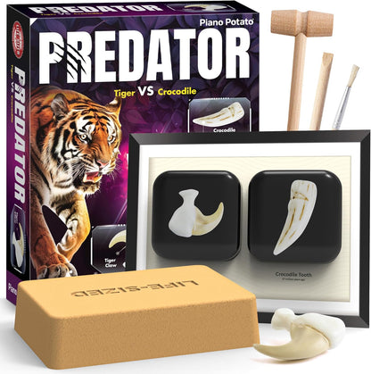 Dinosaur Dig Kit - Excavate 2 Life-Sized Fossils (T.Rex Claw & Ankylosaurus Spine) - STEM Authenticated Science Toy with Tools & Display Frame - Gifts for Boys & Girls Ages 6-12