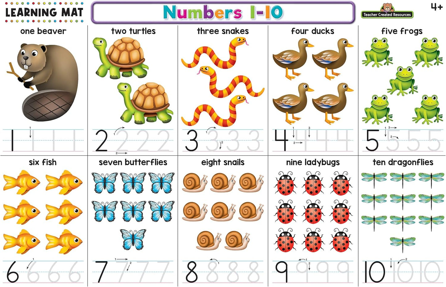 Teacher Created Resources Phonics Learning Mat