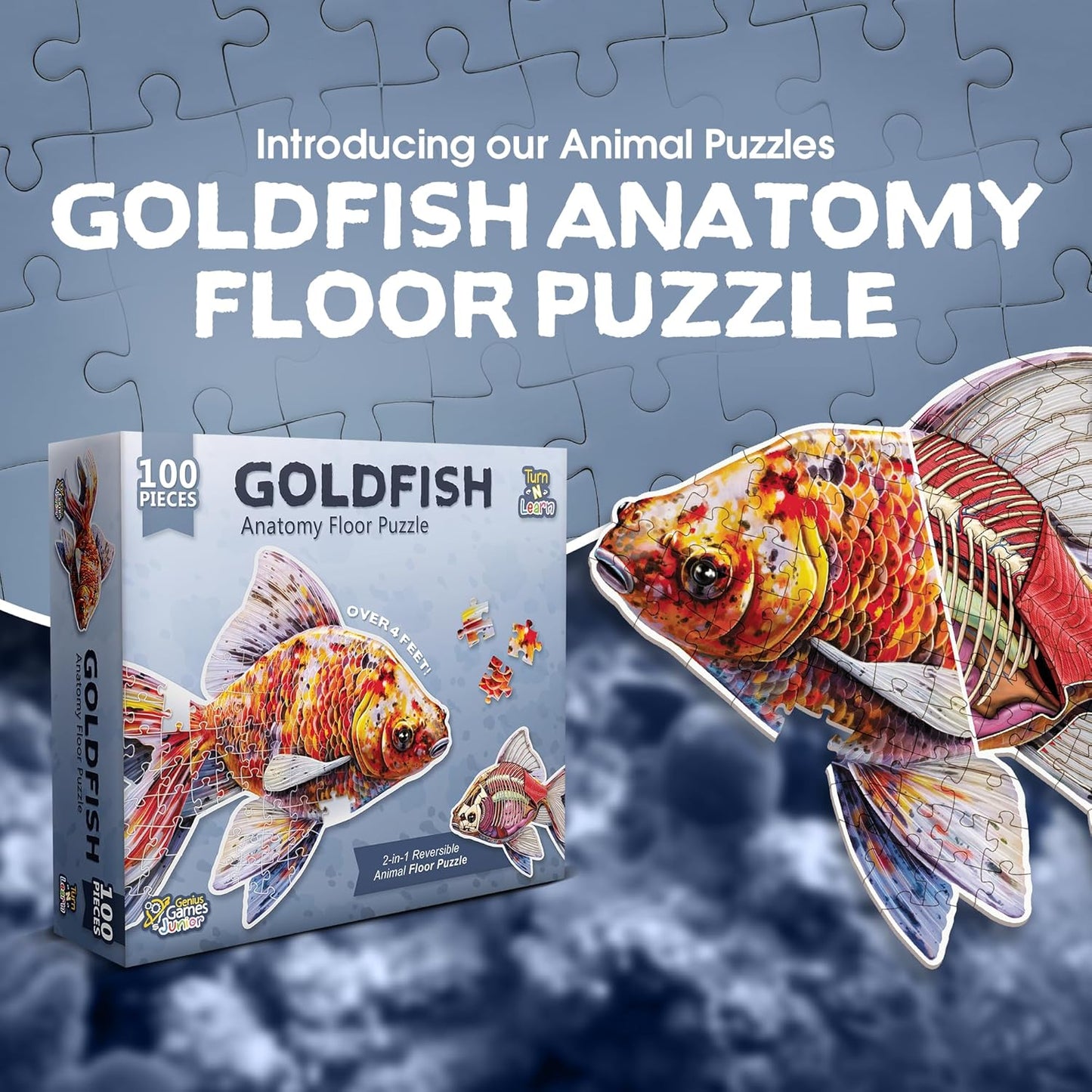Bullfrog Animal Anatomy Floor Puzzle | 100-Piece Double Sided Jigsaw Puzzle | Large-Sized, Over 4 Feet Scientifically Accurate Illustration of Frog - Fun and Educational Toy for Kids, Toddlers