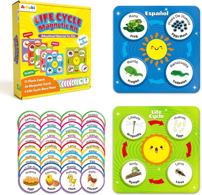 Bilingual Spanish and English Lift Cycle KIt Montessori Toy, Magnetic Learning Education Toys with Flash Cards, Animal Science Activities for Kids Ages 5-8, Matching Toys with Butterfuly, Frog