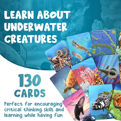 Ecosystem - A Family Card Game about Building Habitats | Learn about Animals, Ecology & Biodiversity for Kids, Adults, Families or the classroom! Fun Board Games for Environmental Science Class