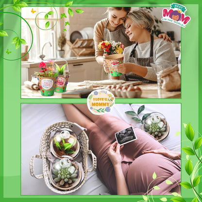 Motipuns Mother's Day Garden Paper Pot Craft Kit Include Plant Flower Peat Pots with Domes 4 Sheet Rhinestones Jewels Stickers and Adhesive Spring Stickers Set for DIY Craft Gifts