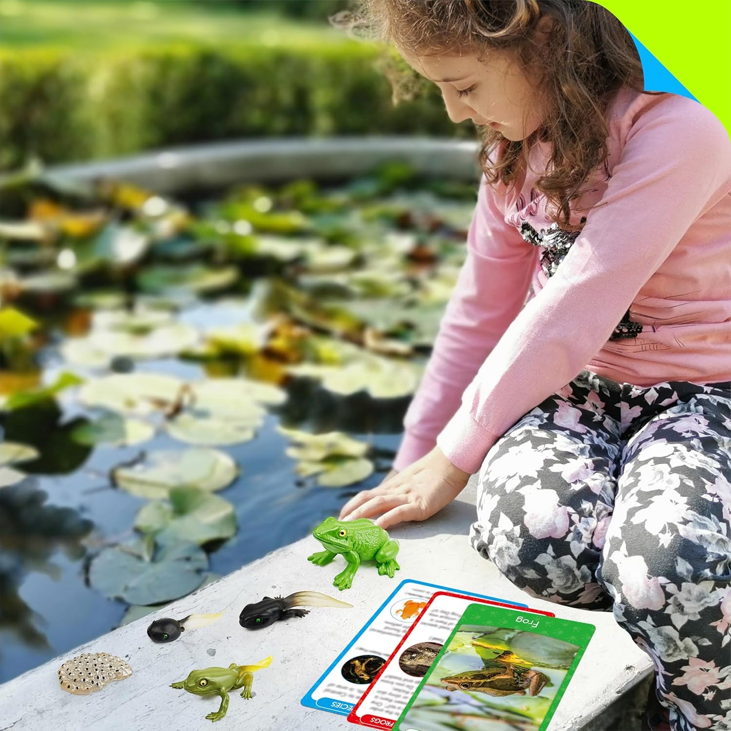 15 Plant Life Circle Flashcards with 4 Plastic Figurines-Seed to Plant, Plants Introduction Card Plants Growth Details for Nature Lovers & Adults, Montessori Toy for Kids