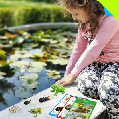 15 Plant Life Circle Flashcards with 4 Plastic Figurines-Seed to Plant, Plants Introduction Card Plants Growth Details for Nature Lovers & Adults, Montessori Toy for Kids
