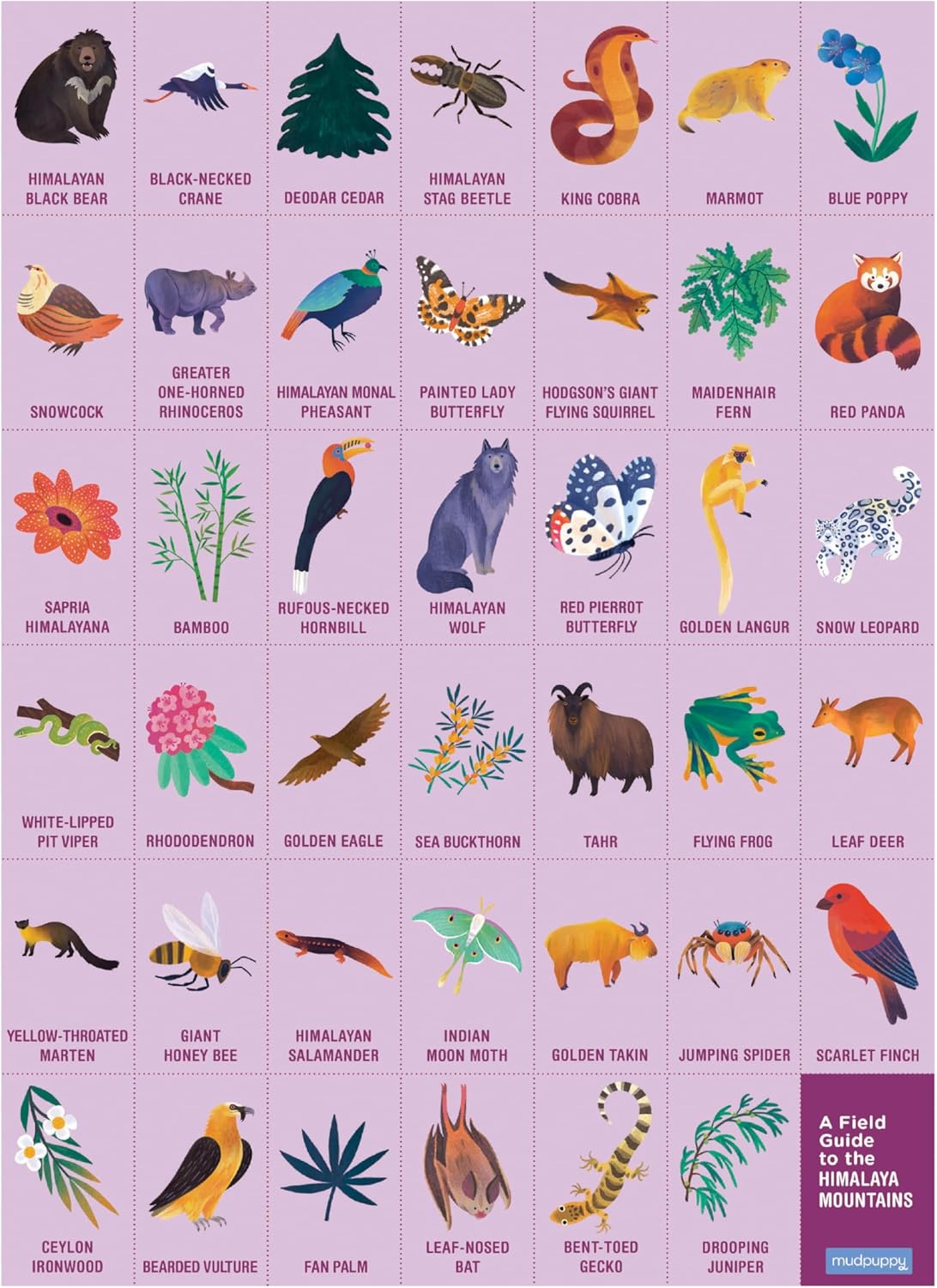 Mudpuppy Rainforest — 64 Piece Search & Find Puzzle Jigsaw Puzzle Featuring Diverse and Exotic Rainforest Animals and Over 40 Hidden Images to Find for Ages 4+