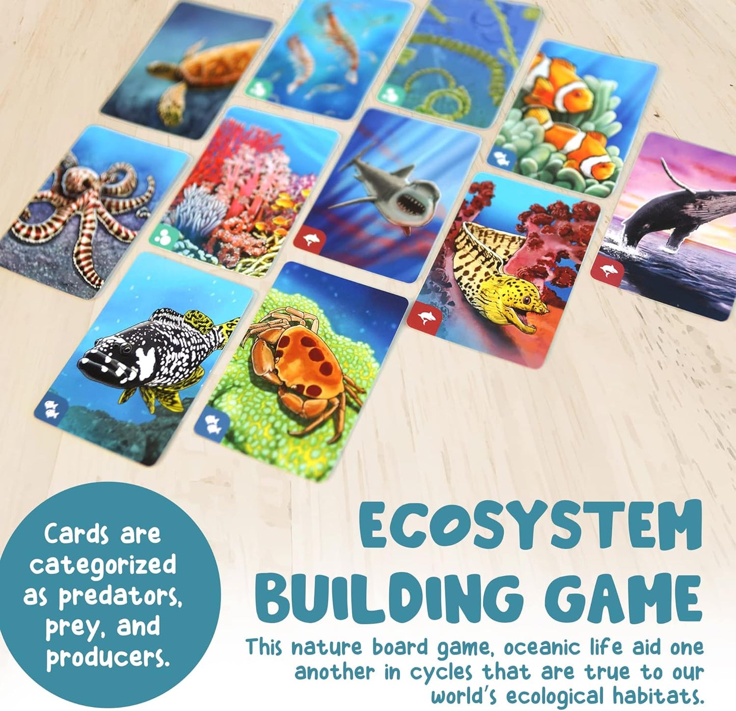 Ecosystem - A Family Card Game about Building Habitats | Learn about Animals, Ecology & Biodiversity for Kids, Adults, Families or the classroom! Fun Board Games for Environmental Science Class