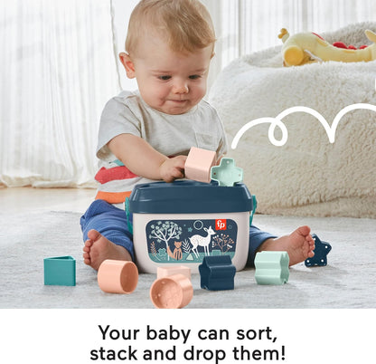 Fisher-Price Stacking Toy Baby’s First Blocks Set of 10 Shapes for Sorting Play for Infants Ages 6+ Months, Navy Fawn (Amazon Exclusive), Pack of 2
