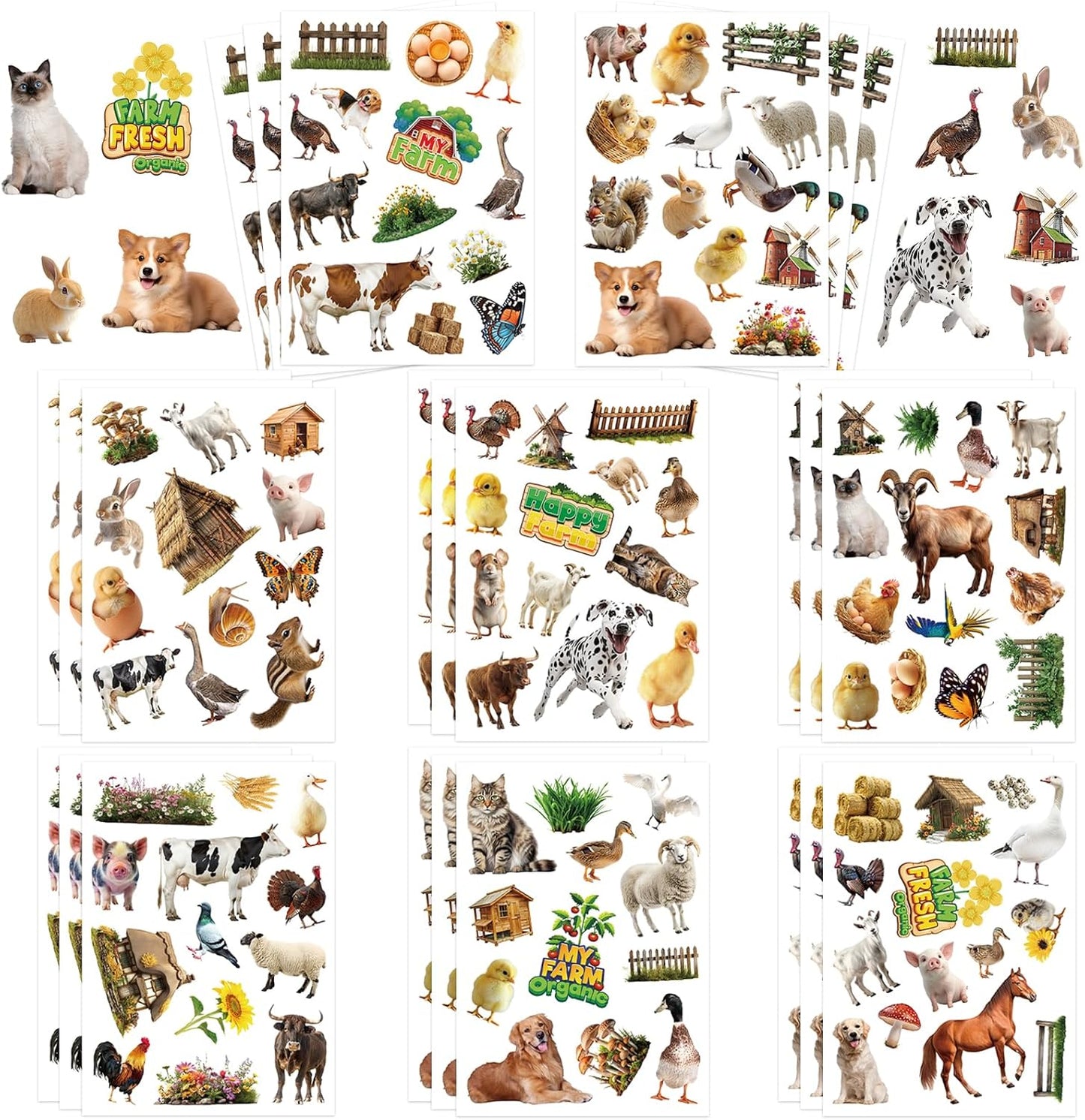312 Pcs Science Stickers, Chemistry Biology Physics Laboratory Sticker Science Themed Stickers for Craft Supplies Classroom Rewards Party Decorations