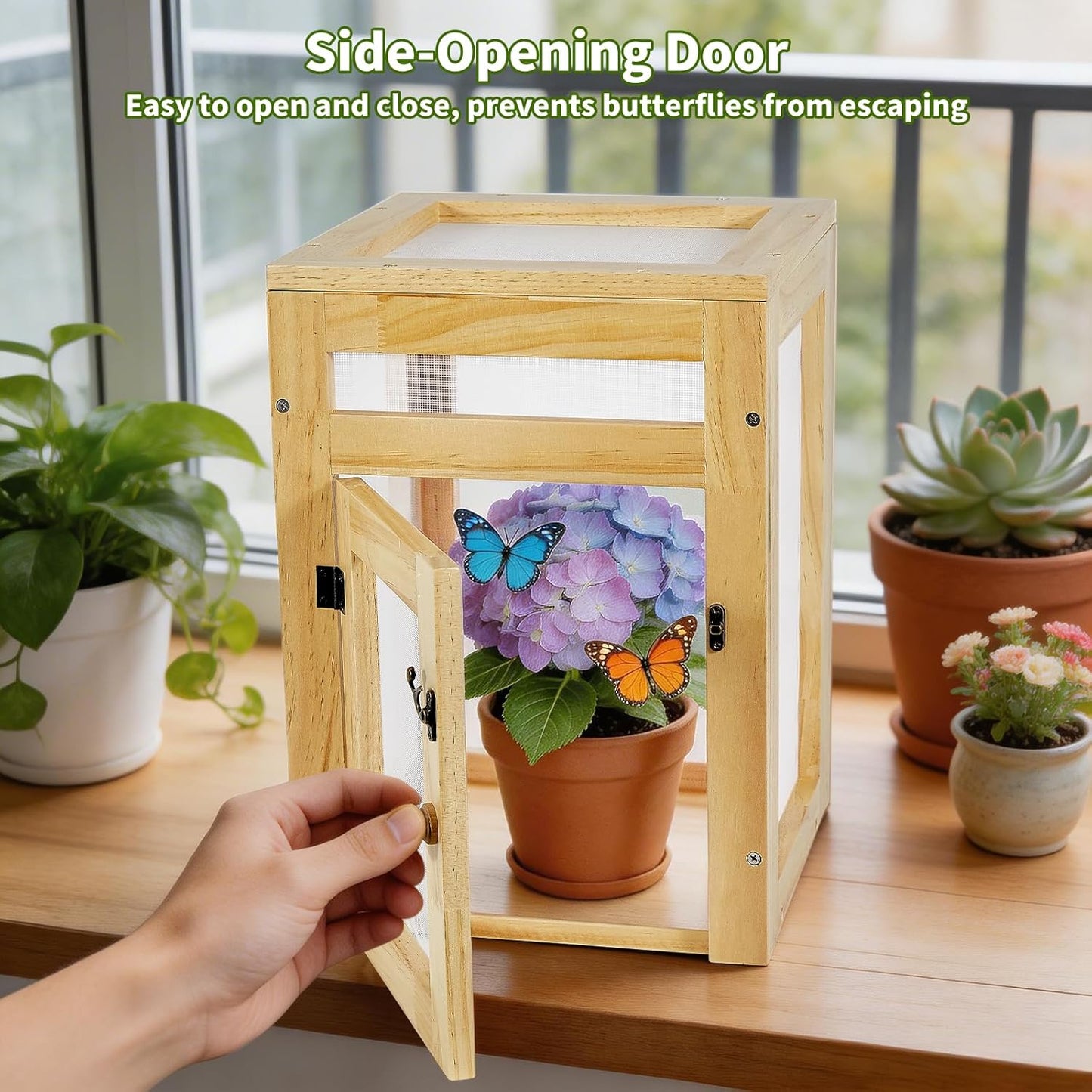 Small Butterfly Growing Kit - Butterfly Habitat Cage Kit