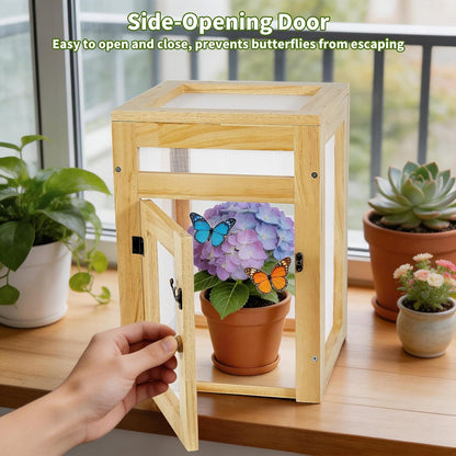 Small Butterfly Growing Kit - Butterfly Habitat Cage Kit