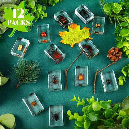 Macarrie 12 Pcs Insect Specimens for Kids Bug Collection Kit Real Specimens of Various Butterflies Beetles Classroom Science Education Animal Collection Bug Preserved Biology(Ladybug)