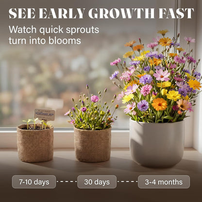 AVERGO Wildflower Seed Mix Growing Kit - Includes Perennial & Annual Wild Flowers, Burlap Planters, Soil, Wooden Box, and Gardening Tools for Indoor Garden and Patio Planting