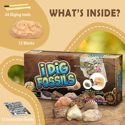 Gamerside Mineral Mining Kit Gem Dig Kit,Rock Dig Kit Dig up 12 Rock & Mineral Collection Gemstones & Crystals Diamond Mining Kit for Kids Gemology Mining Gift Rocks Minerals for Boys Girls
