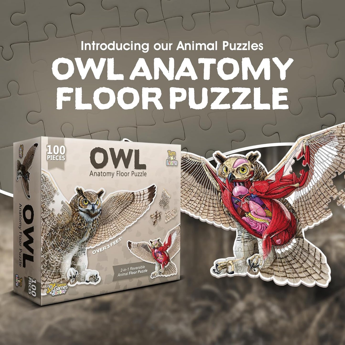 Bullfrog Animal Anatomy Floor Puzzle | 100-Piece Double Sided Jigsaw Puzzle | Large-Sized, Over 4 Feet Scientifically Accurate Illustration of Frog - Fun and Educational Toy for Kids, Toddlers