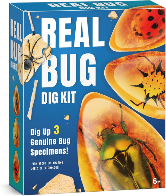 Real Amber Bug Dig Kit for Kids - STEM Science Toy with 3 Genuine Insect Specimens Preserved in Resin - Archaeology Excavation Activity - Educational Gift for Boys & Girls Ages 6+