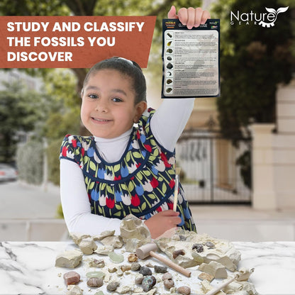 Nature Gear Gemstone Dig Kit for Kids, Educational Crystal Excavation Kit with 15 Mystery Gems, Interactive Adventure Fossil Mining Toy for Kids Age 3-5 and Up