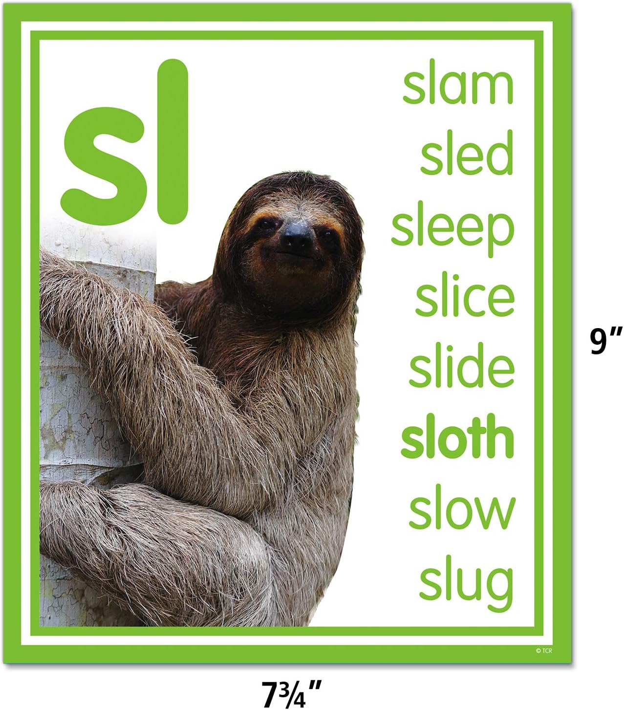 Teacher Created Resources Colorful Photo Cards Digraphs and Blends Bulletin Board (TCR8503)