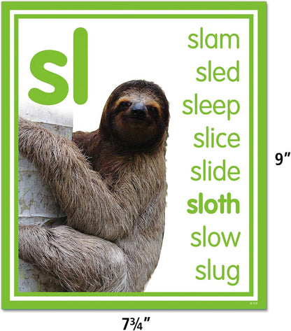 Teacher Created Resources Colorful Photo Cards Digraphs and Blends Bulletin Board (TCR8503)