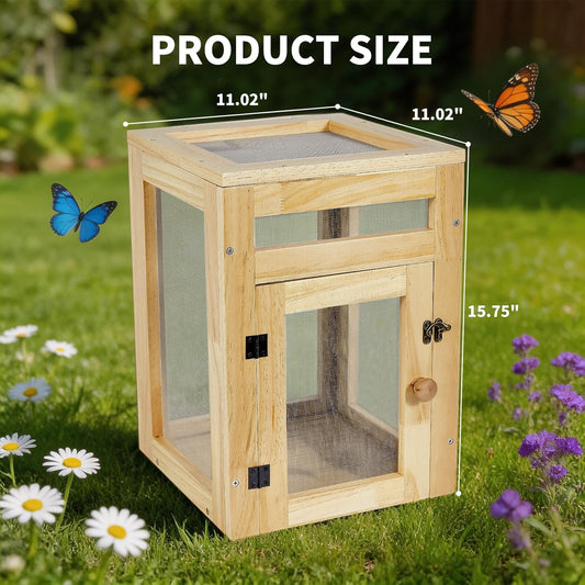 Small Butterfly Growing Kit - Butterfly Habitat Cage Kit