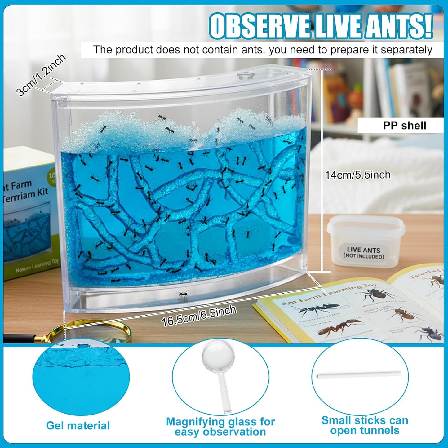 Ant Farm Terrarium Kit Giant Ant Farm Large Viewing Area Care for Live Ants Nature Learning DIY Kit Great Gift(Classic Style,Blue)