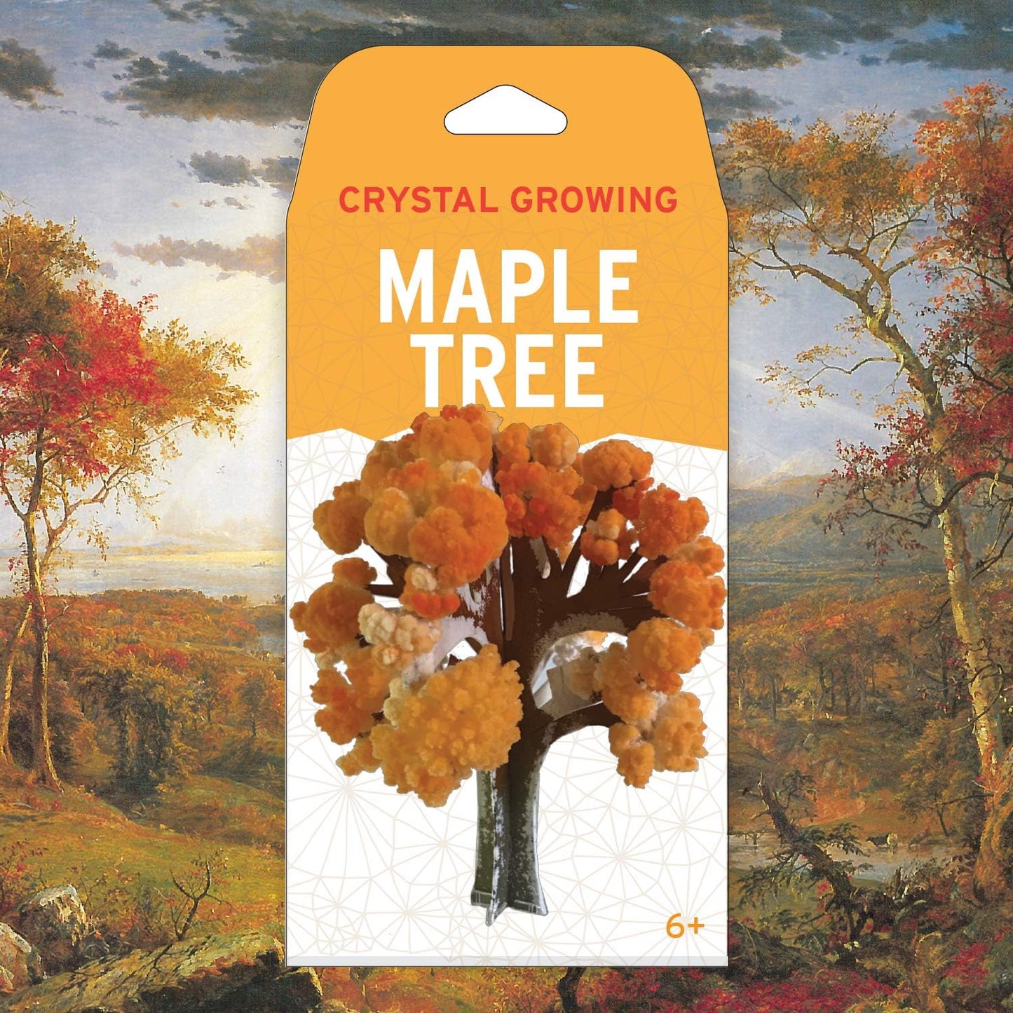 Copernicus Toys Crystal Growing Maple | Tree Official Terraformer kit | Grows in Hours