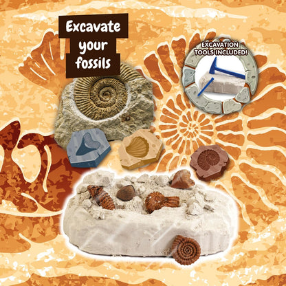 Science4you Fossil Digging Kit for Kids – Archeology, Excavation and Paleotology Kits for Kids, Fossil Dig, Stem Toy and Gift for Boys and Girls Age 6 7 8-12+