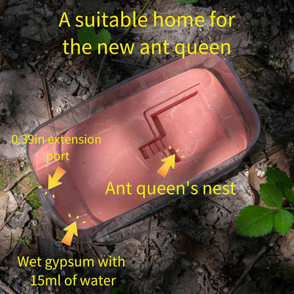 Gypsum Ant Farm New ant Queen Nest Acrylic Transparent ant Observation Behavior Study Live Ants and Queen Ants Education Ant nest Small Community Feeding Area Suitable for Children and Lovers Gifts