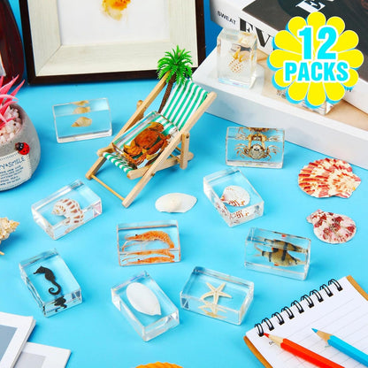 Macarrie 12 Pcs Insect Specimens for Kids Bug Collection Kit Real Specimens of Various Butterflies Beetles Classroom Science Education Animal Collection Bug Preserved Biology(Ladybug)