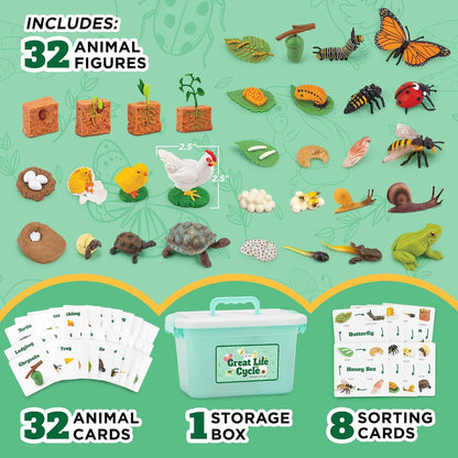 Life Cycle Animal Kit - Montessori Science Toy with 24-Piece Matching Game, Butterfly, Frog, Chicken, Bee, Ladybug and Turtle STEM Educational Gift, Easter Basket fillers for Kids Ages 3-8