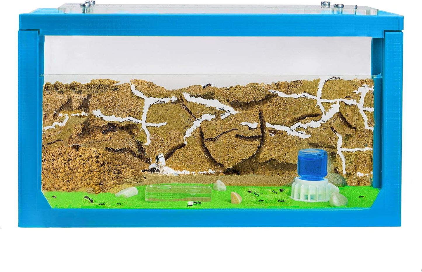 Anthouse.ES - Natural Sand Ant Farm - Acrylic Starter Kit 20x10x10 cm - Sand, Pipette, and Water Dispenser Included - Easy Installation