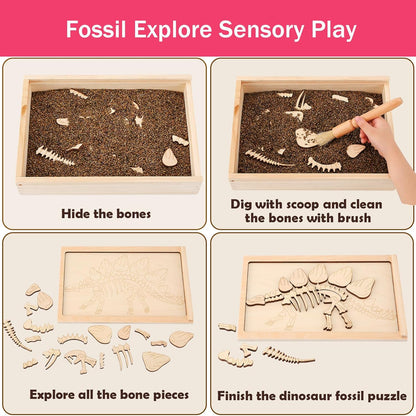 Dino Excavation Archaeology Dig Kit, Fossil Digging Kit for Kids, Dinosaur Skeletons Bones Puzzle Game with Wooden Storage Box, STEM Toys for Boys and Girls (Stegosaurus)