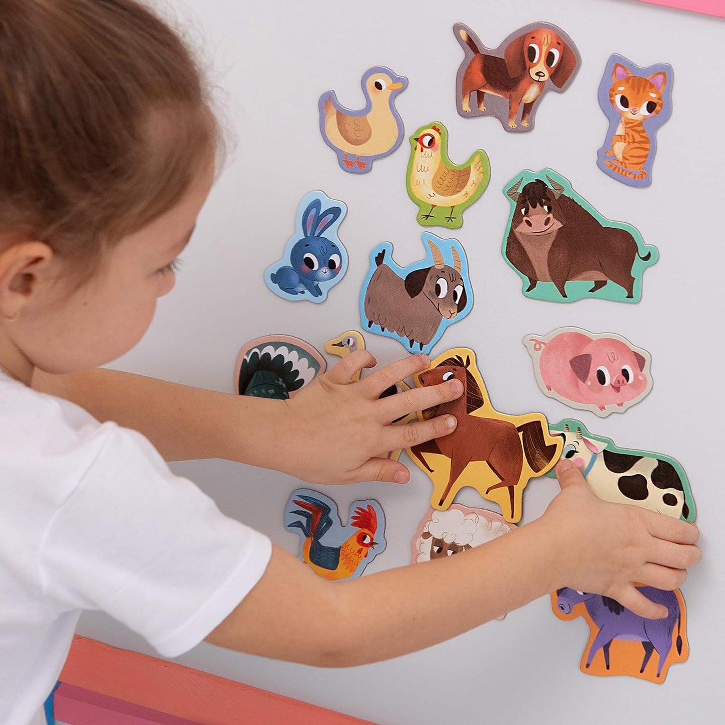 25 Fridge Magnets for Toddlers - Birds Photo Kids Magnets for Refrigerator – Real Magnetic Animals for Children – Big Realistic Magnet for Kids - Learning Toy Set - Baby Educational Gift