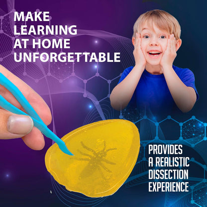 Dissect-It Discover-It Dinosaur Dig Kit, Dissecting Gel Kids Science Kit Project to Learn Anatomy, STEM Toys for Ages 6 and Above
