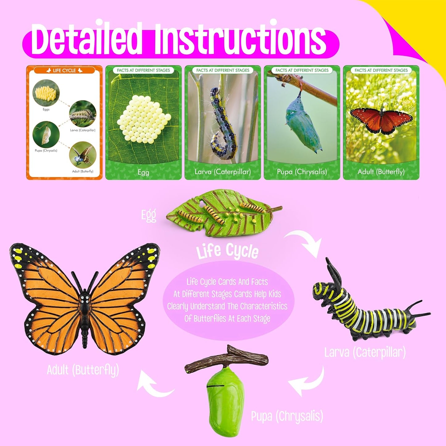 15 Plant Life Circle Flashcards with 4 Plastic Figurines-Seed to Plant, Plants Introduction Card Plants Growth Details for Nature Lovers & Adults, Montessori Toy for Kids