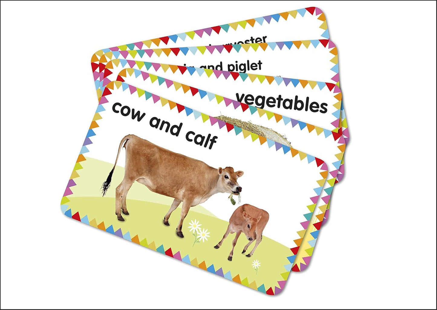 My First Touch and Feel Picture Cards: Farm (My First Board Books)