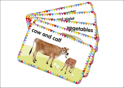 My First Touch and Feel Picture Cards: Farm (My First Board Books)