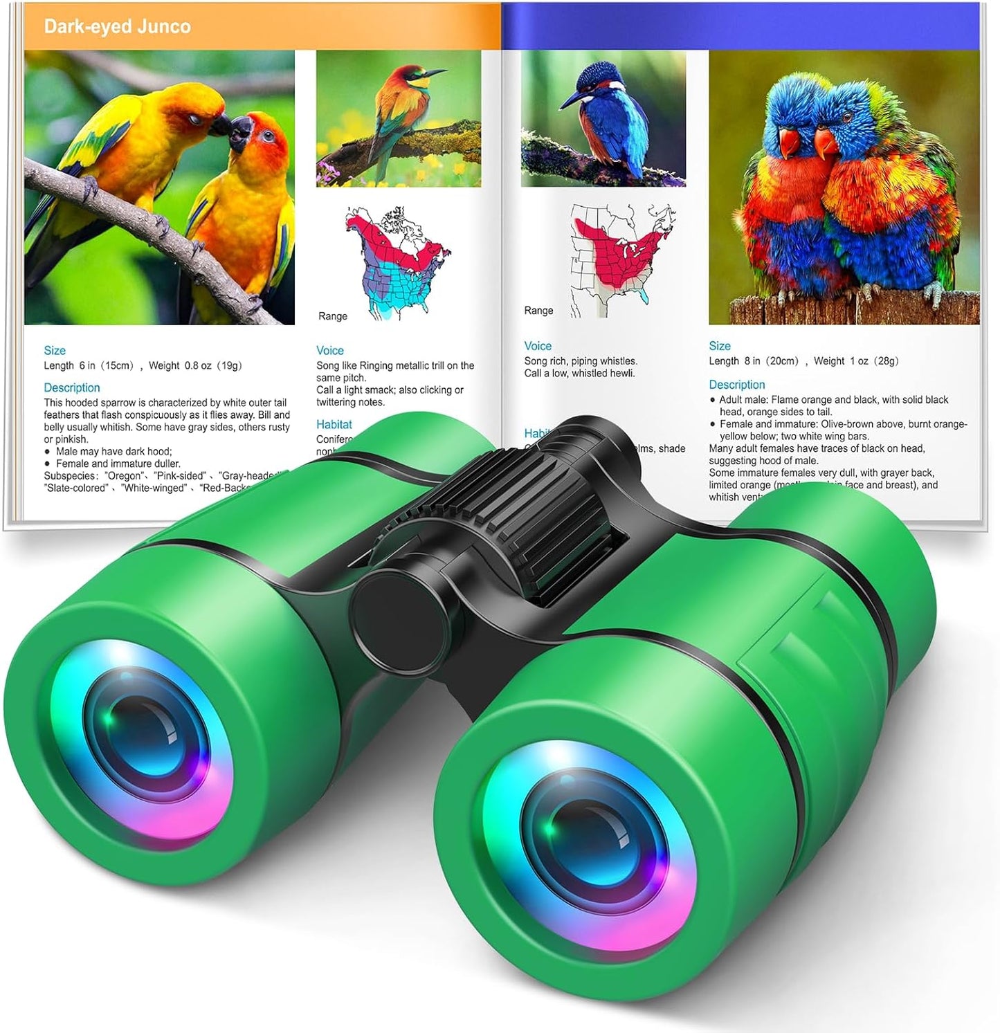 Toys for 3-7 Year Old Boys: LET'S GO! Binoculars for Kids with Bird Watching Manual Easter Birthday Gifts for 4 5 6 7 8 Year Old Boy Girls Outdoor Toy for Kid Ages 5-7 Toddler Camping Telescope