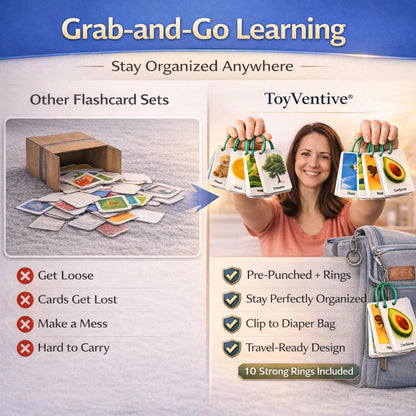 Flash Cards for Toddlers 1–3 with Rings,250 Double-Sided Cards,500 Words–1 Year Old Girl & Boy Gifts – Toddler Flash Cards–Learning & Educational Toys for 1+ Year Old, Montessori Toys for 2 Year Olds