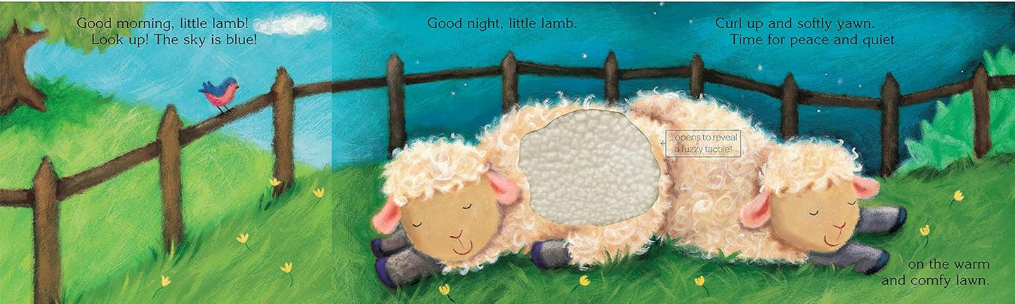 Piggy Toes Touch and Feel Storybook