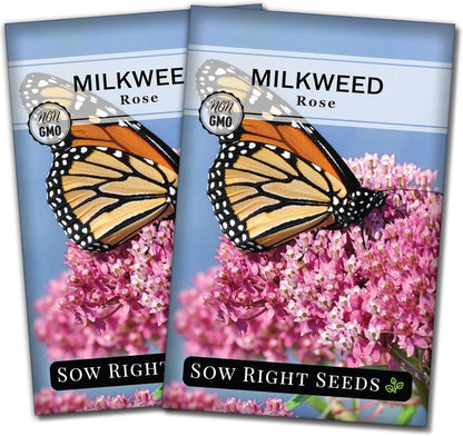 Sow Right Seeds - Rose Milkweed Seeds for Planting - Attract Monarch Butterflies to Your Garden - Non-GMO Heirloom Seeds, Instructions to Grow - Perennial Plant for Pollinators - Swamp Variety (4)