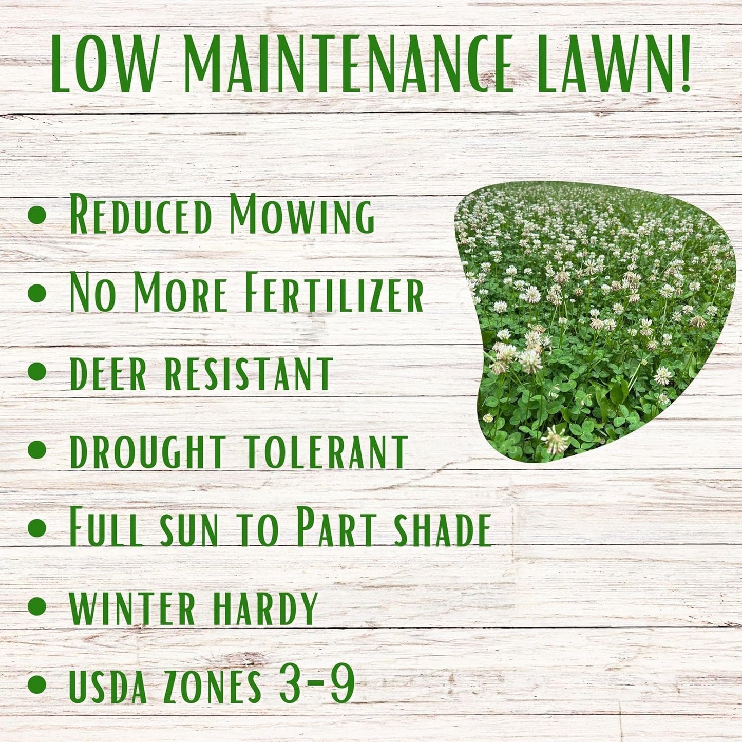 Lawn Seed Kits Dutch White Clover Seed Kit, Easy Spread Shakers, Low Maintenance Lawn, Alternative Ground Cover, Covers up to 250 Sqft