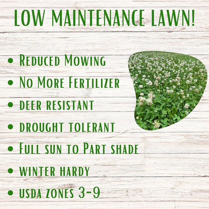Lawn Seed Kits Dutch White Clover Seed Kit, Easy Spread Shakers, Low Maintenance Lawn, Alternative Ground Cover, Covers up to 250 Sqft