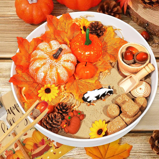 Hiawbon Thanksgiving Sensory Bin Kits, Fall Sensory Bin Fillers, Maple Leaves Pumpkins Pine Cones Sensory Box for Thanksgiving Fall Decor Birthday