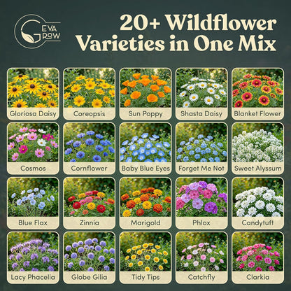 Mini Wildflower Seed Shaker - Save The Bees Seed Mix, by GevaGrow | 80,000+ Seeds | Pollinator & Bee Attracting Flower Seeds Bulk for Planting in Pots & Outdoor Gardens | 2 Ounce