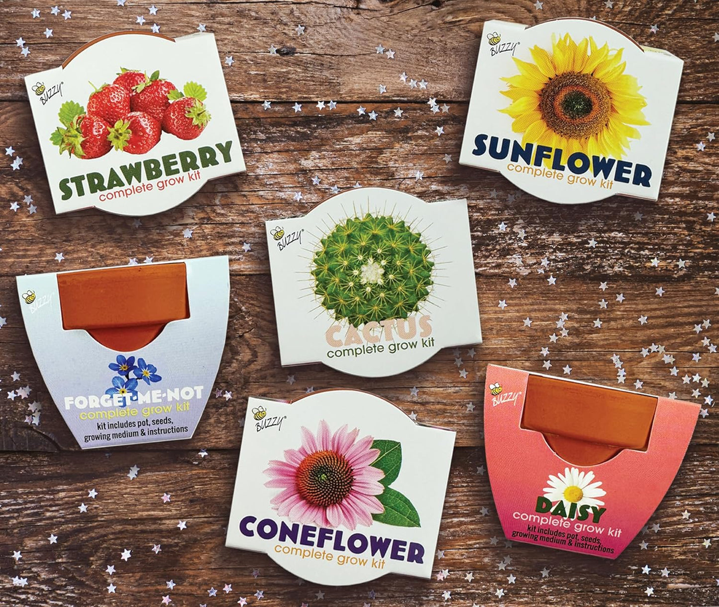 BUZZY Seeds 12-Pack Sunflower Mini Grow Pots – All-in-One Terracotta Flower Starter Kit with Growing Medium, DIY Gardening, Wedding and Shower Favors