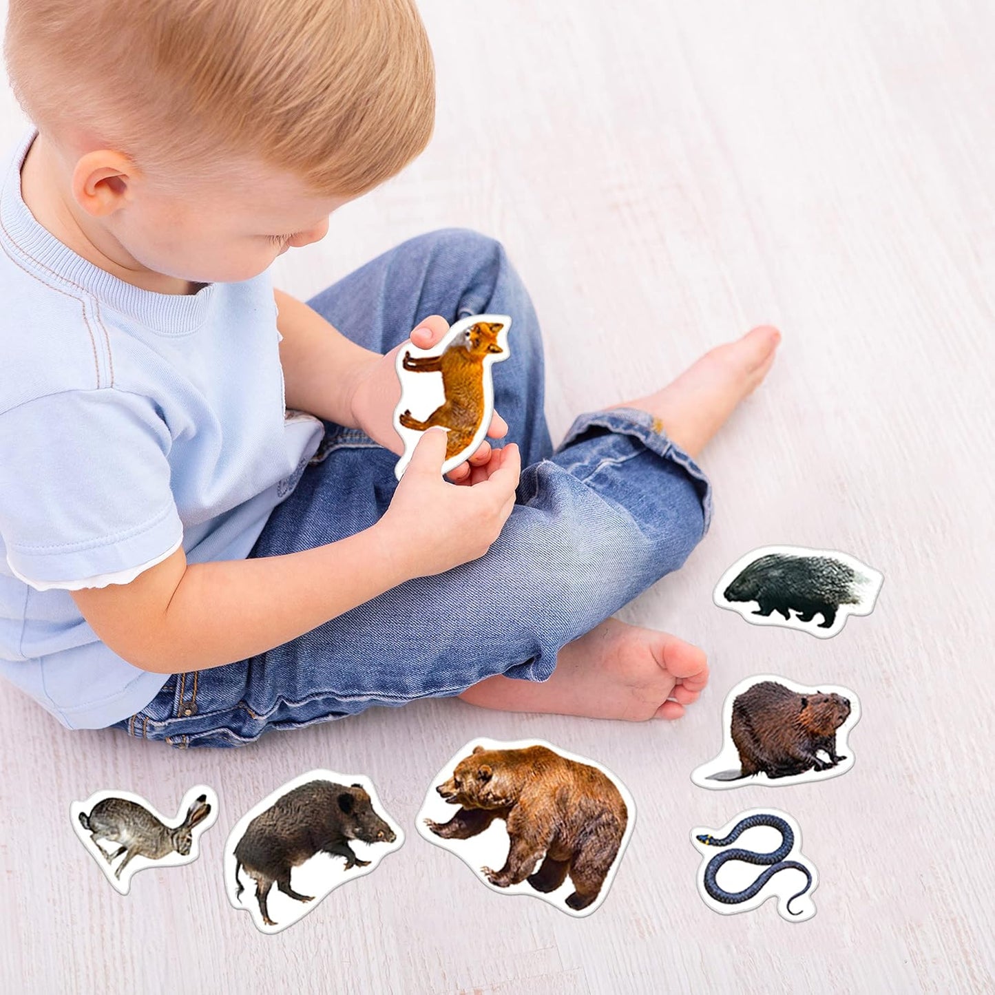 25 Fridge Magnets for Toddlers - Birds Photo Kids Magnets for Refrigerator – Real Magnetic Animals for Children – Big Realistic Magnet for Kids - Learning Toy Set - Baby Educational Gift