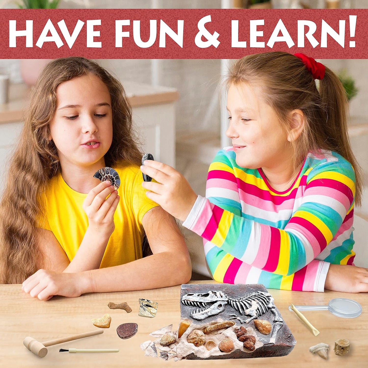 DANCING BEAR Fossil Dig Kit, Excavate 15 Prehistoric Fossils including Real Dinosaur Bones, and Shark Teeth, Paleontology STEM Education for kids, Fun Science Activity Gift Sets for Girls and Boys