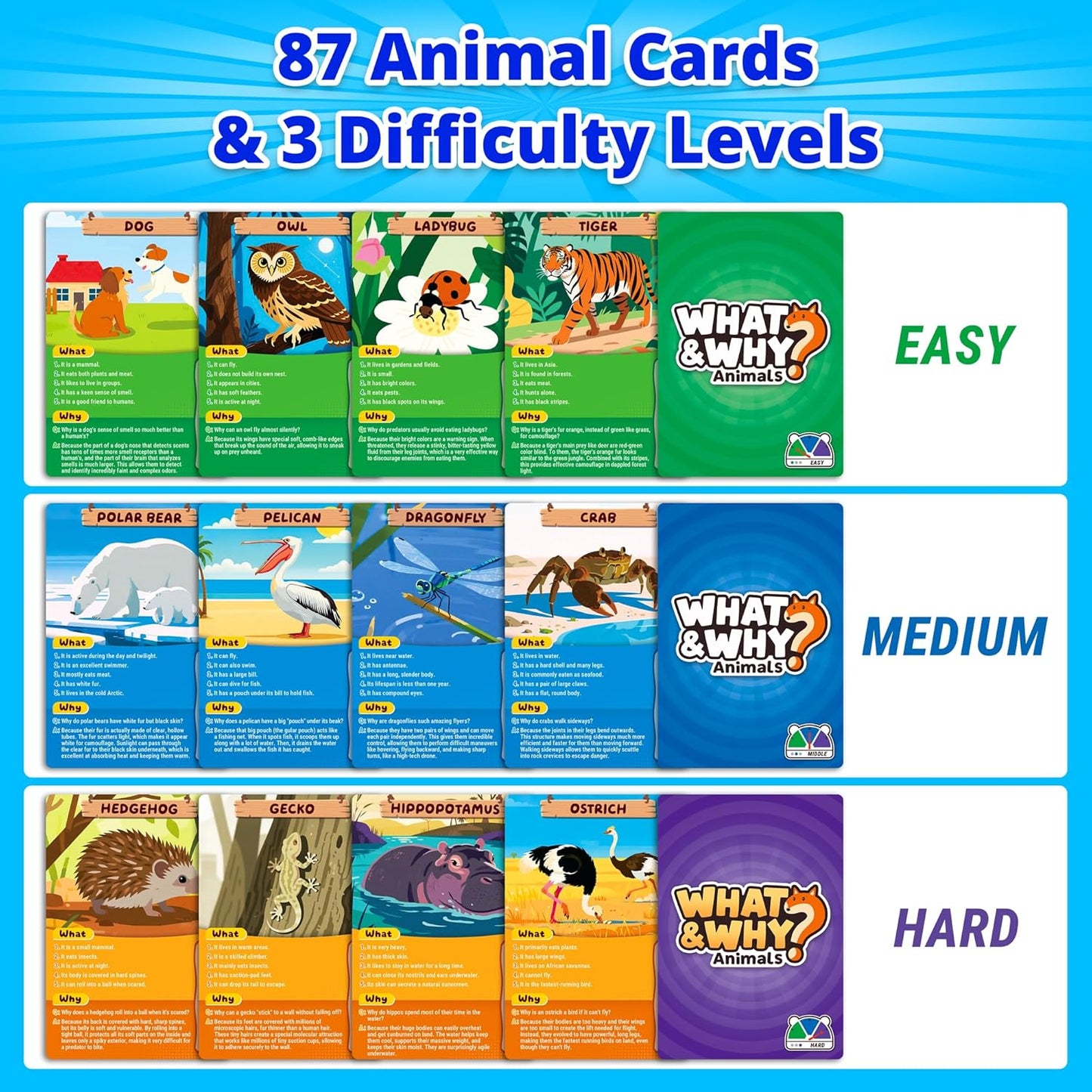 rokt&razo, What&Why? 87 Jumbo Cards with the Bell, Guess the Animal Card Game, Fun Educational Trivia Game for Kids & Family, 3 Difficulty Levels, Stocking Stuffer, for Home, School & Travel, Ages 4+