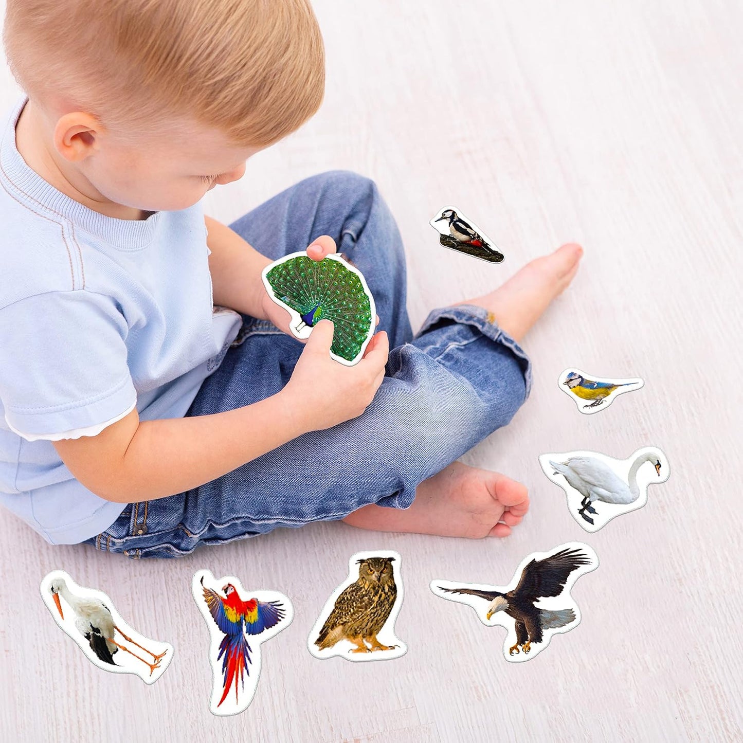 25 Fridge Magnets for Toddlers - Birds Photo Kids Magnets for Refrigerator – Real Magnetic Animals for Children – Big Realistic Magnet for Kids - Learning Toy Set - Baby Educational Gift