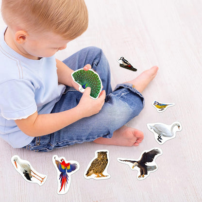 25 Fridge Magnets for Toddlers - Birds Photo Kids Magnets for Refrigerator – Real Magnetic Animals for Children – Big Realistic Magnet for Kids - Learning Toy Set - Baby Educational Gift